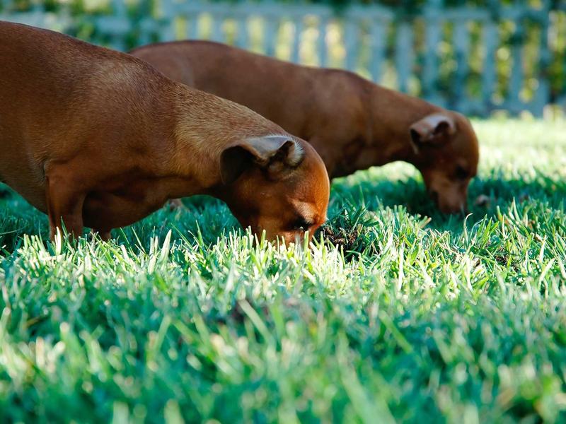 sudoku problem solving screenshot 3